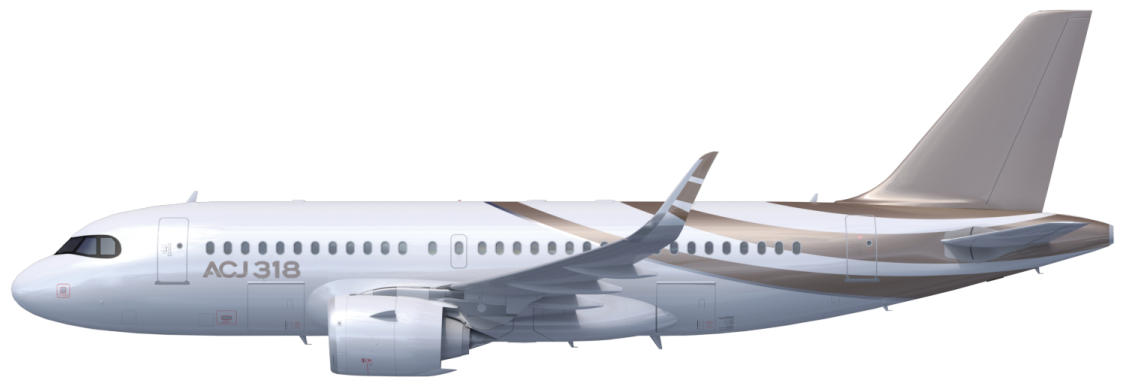 Авиадоставка из Индонезии