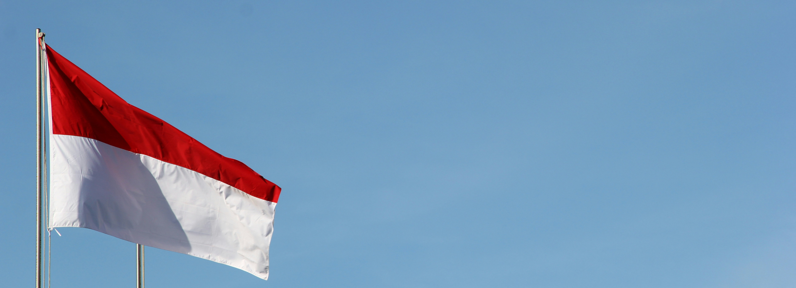 Доставка из Индонезии