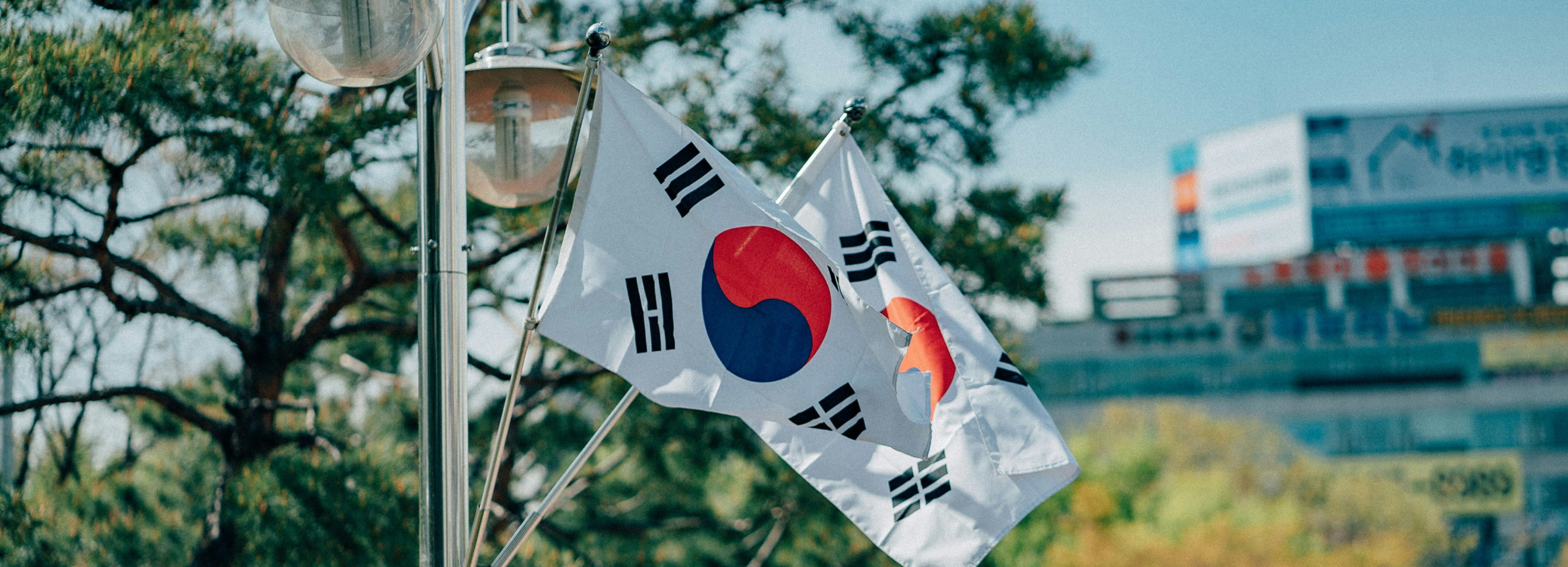 Достака из Южной Кореи